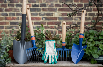 a-photo-of-a-variety-of-gardening-tools-placed-on--smE1oFmcRiqh4CDPcKa-zg-du1IUFxoQ06BqXoK7OVDUw