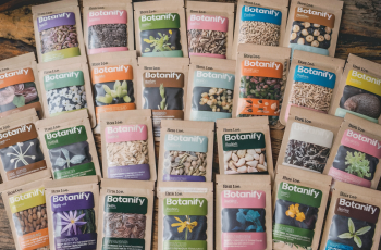 a-photo-of-a-variety-of-seed-sachets-each-containi-dXagw-byRZ-RpgHCntHQ0w-itbgCra1SMijYisAtBqL7w